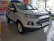 Ford EcoSport   1.5L AT Titanium 2017 - Bán Ford EcoSport 1.5L AT Titanium đời 2017, màu bạc, 570 triệu