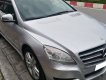 Mercedes-Benz R class   3.0 AT  2010 - Cần bán lại xe Mercedes 3.0 AT đời 2010, màu bạc, xe nhập