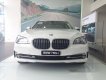 BMW 7 Series 750 Li 4.4 AT 2017 - Bán BMW 7 Series 750 Li 4.4 AT đời 2017, màu trắng, xe nhập