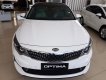 Kia Optima 2017 - Bán ô tô Kia Optima 2017, màu trắng, nhập khẩu, giá 904tr