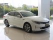 Kia Optima 2017 - Bán ô tô Kia Optima sản xuất 2017, màu trắng, nhập khẩu chính hãng