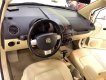 Volkswagen Beetle 2009 - Bán xe Volkswagen Beetle đời 2009, màu kem (be), xe nhập số tự động