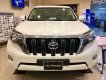 Toyota Prado TX-L 2017 - Toyota Prado TX-L 2017, màu trắng, nhập khẩu, còn 1 chiếc duy nhất ưu đãi đặc biệt