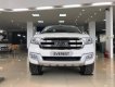 Ford Everest 2.2L 4x2 Titanium AT 2017 - Bán Ford Everest 2.2L 4x2 Titanium AT đời 2017, màu trắng, nhập khẩu