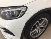 Mercedes-Benz GLK Class GLC300 2016 - Bán Mercedes GLC300 đời 2016, màu trắng, nhập khẩu