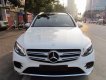 Mercedes-Benz GLK Class GLC300 2016 - Bán Mercedes GLC300 đời 2016, màu trắng, xe nhập