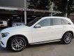 Mercedes-Benz GLK Class GLC300 2016 - Bán Mercedes GLC300 đời 2016, màu trắng, xe nhập