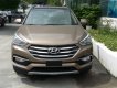 Hyundai Santa Fe 2017 - Bán Hyundai Santa Fe giảm shock lên đến 130 triệu + bảo hiểm vật chất và hơn thế nữa