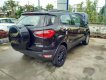 Ford EcoSport 2017 - Cần bán Ford EcoSport đời 2017, màu đen
