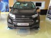 Ford EcoSport 2017 - Cần bán Ford EcoSport đời 2017, màu đen