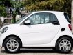 Smart Fortwo 2016 - Bán Smart Fortwo đời 2016, màu trắng, nhập khẩu, giá 933tr