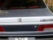 Peugeot 305   1989 - Cần bán xe Peugeot 305 sản xuất 1989, màu bạc, xe nhập