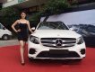 Mercedes-Benz GLC-Class GLC300 2017 - Cần bán xe Mercedes GLC300 đời 2017, màu trắng, xe nhập