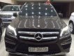Mercedes-Benz GLC-Class 500 2015 - Bán Mercedes GLC-Class  đời 2015, màu nâu, xe nhập