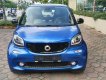 Smart Fortwo 2016 - Cần bán xe Smart Fortwo năm 2016, màu xanh lam, nhập khẩu nguyên chiếc, 950 triệu