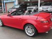 Mercedes-Benz SLK class SLK200 2010 - Bán Mercedes SLK200 đời 2010, màu đỏ, xe nhập, giá chỉ 980 triệu