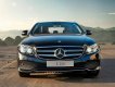 Mercedes-Benz E class E250 2017 - Bán Mercedes E250 đời 2017