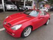Mercedes-Benz SLK class SLK200 2010 - Bán xe Mercedes SLK200 đời 2010, màu đỏ, nhập khẩu