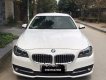 BMW 5 Series 520i 2014 - Bán BMW 5 Series 520i đời 2014, màu trắng