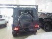Mercedes-Benz G class G350 AT 2016 - Cần bán xe Mercedes G350 AT đời 2016, màu đen, xe nhập