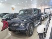 Mercedes-Benz G class G350 AT 2016 - Cần bán xe Mercedes G350 AT đời 2016, màu đen, xe nhập