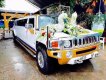 Hummer H3 2009 - Bán Hummer H3 đời 2009, màu trắng, nhập khẩu