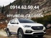 Hyundai Santa Fe 2.2 AT 4WD 2017 - Bán ô tô Hyundai Santa Fe giá tốt - Đại lý chính hãng Hyundai Thành Công, gọi Mr Tiến 0981.881.622