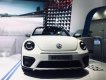 Volkswagen Beetle Dune 2017 - Bán Volkswagen Beetle Dune đời 2017, màu trắng, xe nhập