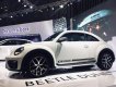 Volkswagen Beetle Dune 2017 - Bán Volkswagen Beetle Dune đời 2017, màu trắng, xe nhập