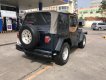 Jeep Wrangler 1995 - Cần bán lại xe Jeep Wrangler sản xuất 1995, màu xanh lam, xe nhập