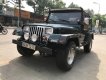 Jeep Wrangler 1995 - Cần bán lại xe Jeep Wrangler sản xuất 1995, màu xanh lam, xe nhập