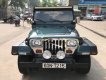 Jeep Wrangler 1995 - Cần bán lại xe Jeep Wrangler sản xuất 1995, màu xanh lam, xe nhập