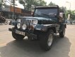 Jeep Wrangler 1995 - Cần bán lại xe Jeep Wrangler sản xuất 1995, màu xanh lam, xe nhập