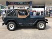 Jeep Wrangler 1995 - Cần bán lại xe Jeep Wrangler sản xuất 1995, màu xanh lam, xe nhập