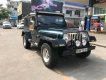 Jeep Wrangler 1995 - Cần bán lại xe Jeep Wrangler sản xuất 1995, màu xanh lam, xe nhập