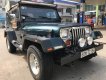 Jeep Wrangler 1995 - Cần bán lại xe Jeep Wrangler sản xuất 1995, màu xanh lam, xe nhập