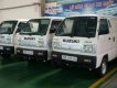 Suzuki Blind Van 2017 - Bán Suzuki Blind Van đời 2017, màu trắng, nhập khẩu nguyên chiếc, 293 triệu