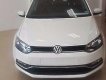 Volkswagen Polo   2015 - Bán Volkswagen Polo năm 2015, màu trắng, nhập khẩu  