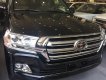 Toyota Land Cruiser 2017 - Bán xe Toyota Land Cruiser đời 2017, màu đen, xe nhập