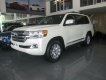 Toyota Land Cruiser 5.7 VX 2017 - Cần bán Toyota Land Cruiser 5.7 VX năm 2017, màu trắng, xe nhập