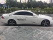 Mercedes-Benz CLS class CLS 350 2005 - Bán xe Mercedes CLS 350 đời 2005, màu trắng, xe nhập