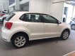 Volkswagen Polo 2017 - VW Polo hatchback giá bán 695tr - tại Biên Hòa
