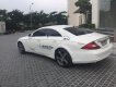 Mercedes-Benz CLS class CLS 350 2005 - Bán xe Mercedes CLS 350 đời 2005, màu trắng, xe nhập