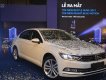 Volkswagen Passat 2017 - VW Passat 1.8 turbo 1tỷ 450tr (chưa giấy), giao xe tận nhà