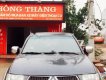 Mitsubishi Triton 2009 - Bán xe Mitsubishi Triton năm 2009, màu xám, nhập khẩu  