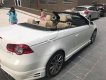 Volkswagen Eos 2.0T 2010 - Bán xe Volkswagen Eos 2.0T đời 2010, màu trắng, nhập khẩu nguyên chiếc, 680 triệu