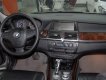 BMW X5 3.0 2006 - Bán BMW X5 3.0 đời 2006, màu xám, xe nhập số tự động