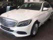 Mercedes-Benz C250 2017 - Mercedes C250 Exclusive 2017 tốc độ trong vùng bị giới hạn