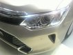 Toyota Camry E 2017 - Cần bán xe Toyota Camry E đời 2018 đủ màu, giá tốt, hỗ trợ vay lên đến 90%, liên hệ 0911.404.101