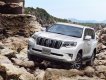 Toyota Land Cruiser Prado VX 2017 - Bán Toyota Land Cruiser Prado VX đời 2018, màu trắng, nhập khẩu nguyên chiếc giao ngay trong tháng